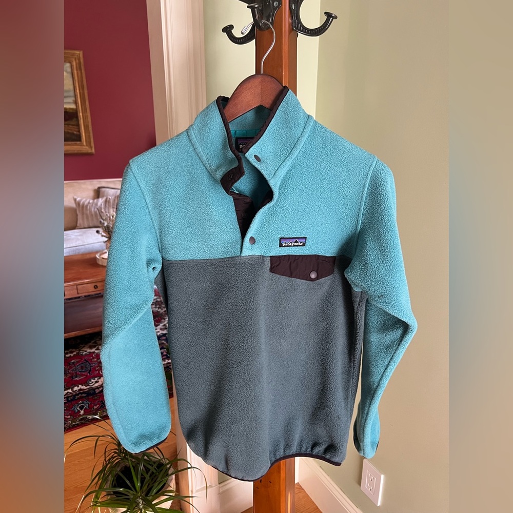 Patagonia synchilla sweatshirt
